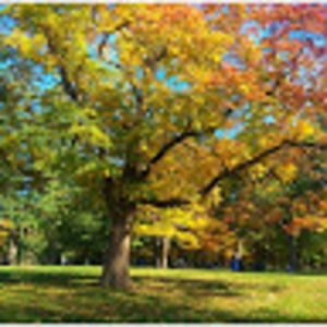 Meet your Posher, Wayne